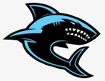 Colgan High School Sharks, HD Png Download - kindpng