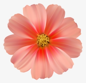 1 Png - Transparent Flower Clipart Png, Png Download, Free Download