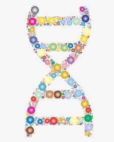 Prismatic Dna Helix Circles - Molecular Biology Png, Transparent Png, Free Download