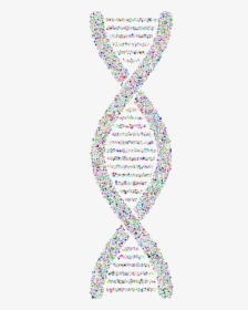 Dna Helix Circles Free Picture - Dna, HD Png Download, Free Download
