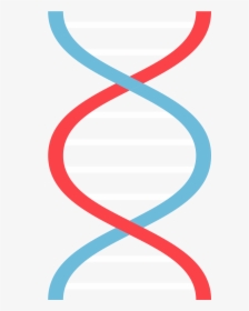 Icon Images In Collection - Dna Sequence Dna Icon, HD Png Download, Free Download