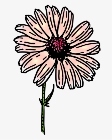 Colored Daisy 2 Clip Arts - Clip Art, HD Png Download, Free Download