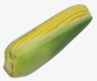 Corn Png Image - Maize, Transparent Png, Free Download