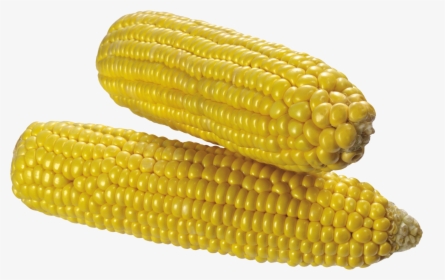 Corn Png Image - Corn Transparent Background, Png Download, Free Download