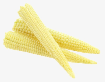 Baby Corn Png, Transparent Png, Free Download