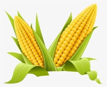 Maize Clip Art - Transparent Background Corn Clipart, HD Png Download, Free Download