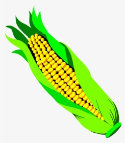 28 Collection Of Corn Clipart Transparent Background - Ear Of Corn Transparent Background, HD Png Download, Free Download