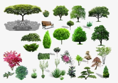 Tree Shrub Landscape Material Transprent Png Free, Transparent Png, Free Download