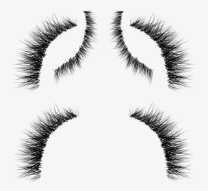 Eyelash Extensions Whiskers Eyebrow Cosmetics - Eyelashes Alpha Texture, HD Png Download, Free Download