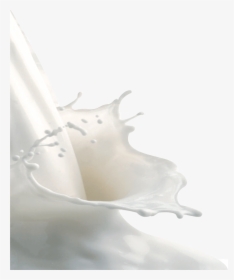 Milk Splashes Png - Milk Png, Transparent Png, Free Download