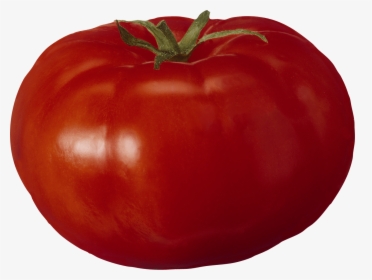 Tomato, HD Png Download, Free Download