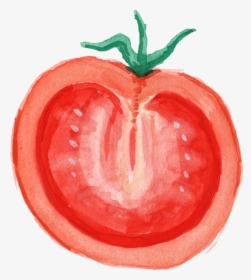Transparent Tomato Png - Vegetable Watercolor Png, Png Download, Free Download