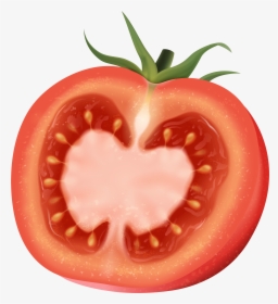 Tomato Png , Png Download - Tomato, Transparent Png, Free Download