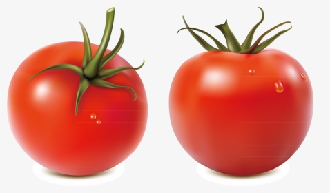Salsa Tomato Royalty-free Illustration - Tomato Png, Transparent Png, Free Download