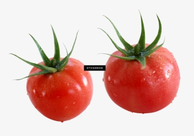 Tomato , Png Download - Tomate Cherry, Transparent Png, Free Download