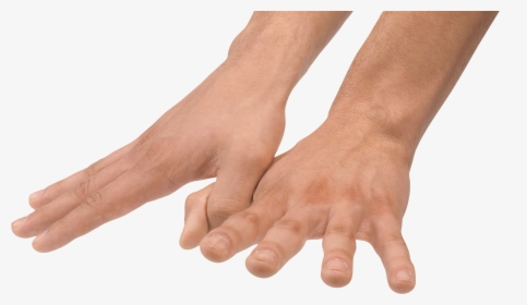 Hands - Human Hands No Background, HD Png Download, Free Download