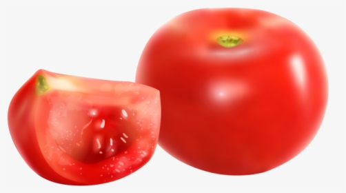 Tomato Png Image Free Download Searchpng - Plum Tomato, Transparent Png, Free Download