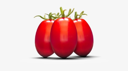 Pomodoro Datterino Png, Transparent Png, Free Download