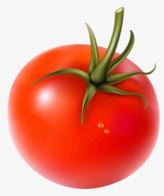 Tomato Vegetables Png, Transparent Png, Free Download