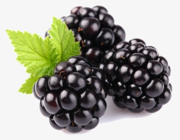 Blackberry Fruit Free Download Png - Fruits Blackberry, Transparent Png, Free Download