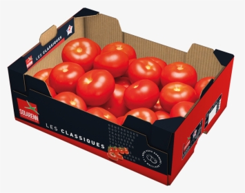Plum Tomato , Png Download - Plum Tomato, Transparent Png, Free Download