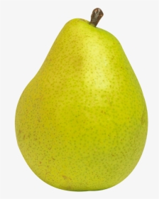 Pear Fruit Png Clipart - Pear Clipart Png, Transparent Png, Free Download