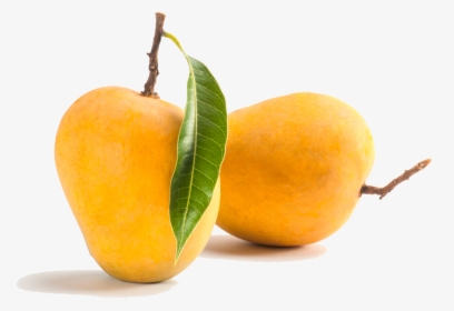 Transparent Mango Tree Png - Mango Fruit, Png Download, Free Download