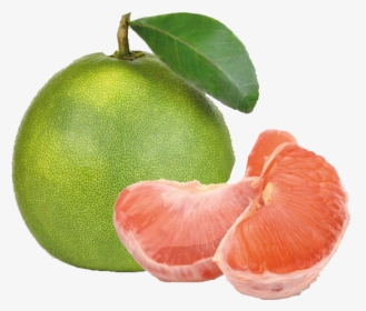 Image - Pomelo Fruit, HD Png Download, Free Download