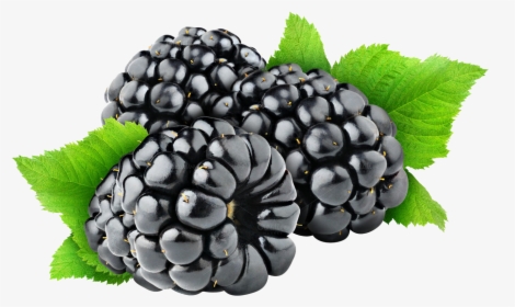 Blackberry Fruit Free Png Image - Black Berry Png, Transparent Png, Free Download