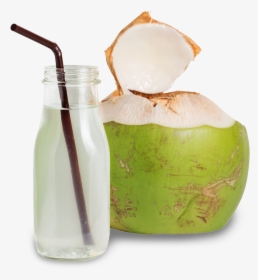 Transparent Coconut Png Images - Transparent Coconut Water Png, Png Download, Free Download