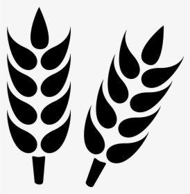 Wheat - Wheat Icon Png, Transparent Png, Free Download