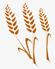 The Wheat, Wheat Silhouette, Drawing - Wheat Clipart, HD Png Download, Free Download