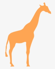 Transparent Giraffe Silhouette Png - Orange Giraffe Silhouette, Png Download, Free Download