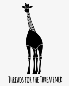 Transfer Baby Giraffe - Giraffe, HD Png Download, Free Download