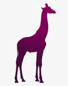 Transparent Giraffe Art, Giraffe Png Pic - Black Giraffe Vector, Png Download, Free Download