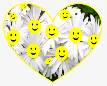 Happy Face Flowers, HD Png Download, Free Download