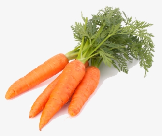Download Carrot Png - Carrot Png, Transparent Png, Free Download