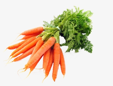 Carrots Png Image - Transparent Carrots Png, Png Download, Free Download
