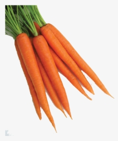 Carrot Png Clipart - Carrot Png, Transparent Png, Free Download