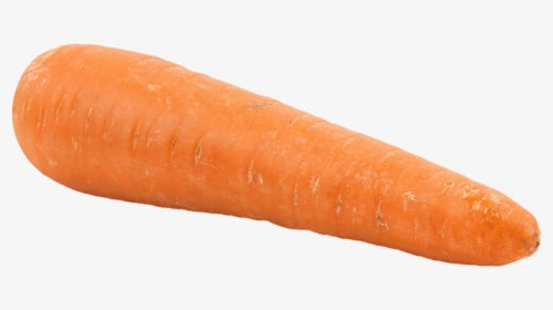 Big Carrot Png - Carrot Png, Transparent Png, Free Download