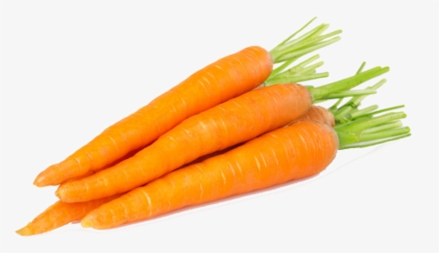 Carrot Png Free Background - 1 Carrot, Transparent Png, Free Download