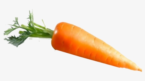 Carrot Png Pic - Baby Carrot, Transparent Png, Free Download
