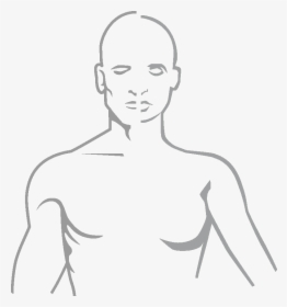Sketch, HD Png Download, Free Download