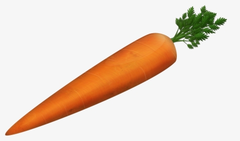 Carrot Png Photo - High Resolution Carrot, Transparent Png, Free Download