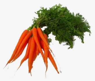 Download Carrot Png Clipart - Vegetables Png Transparent, Png Download, Free Download