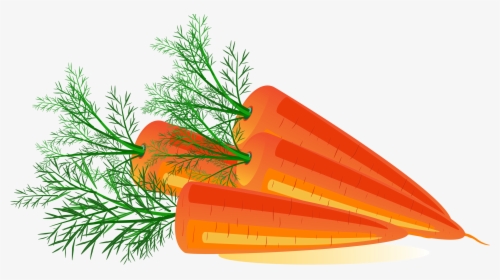 Carrot Png Image - Transparent Background Carrot Clip Art Png, Png Download, Free Download