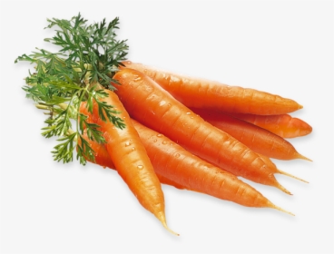 Carrot, Green Bites Cafe San Jose Meal Prep Fitness - Carrot Png, Transparent Png, Free Download