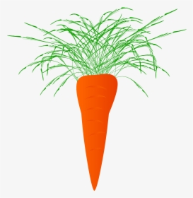 Carrots Carrot Plant Naciowa - Marchewka Clipart, HD Png Download, Free Download
