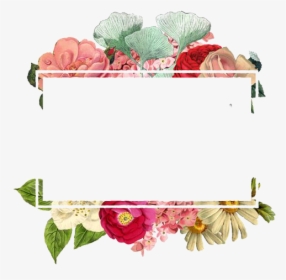 Flower Paper Logo - Flower Border Png Free, Transparent Png, Free Download