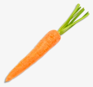 Carrot From Top Png, Transparent Png, Free Download